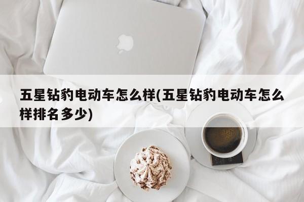 五星钻豹电动车怎么样(五星钻豹电动车怎么样排名多少)