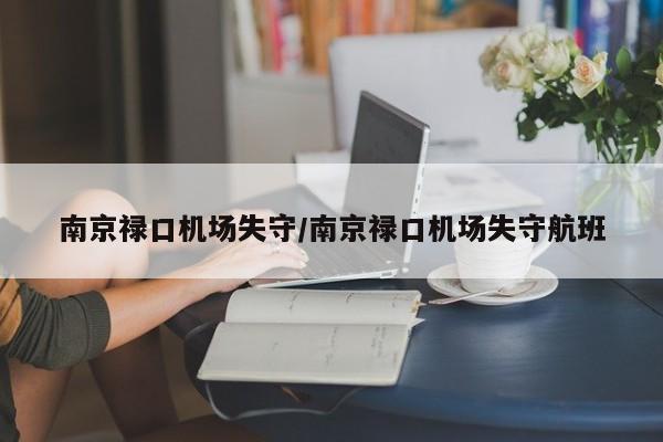 南京禄口机场失守/南京禄口机场失守航班