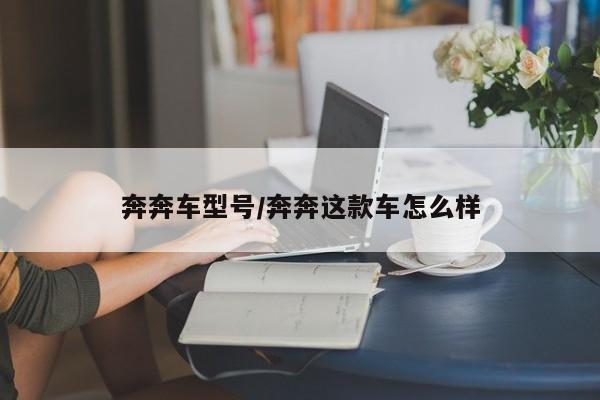 奔奔车型号/奔奔这款车怎么样