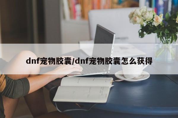 dnf宠物胶囊/dnf宠物胶囊怎么获得