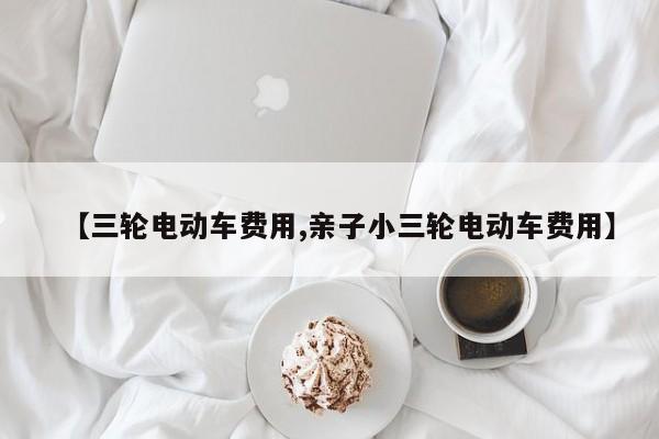 【三轮电动车费用,亲子小三轮电动车费用】