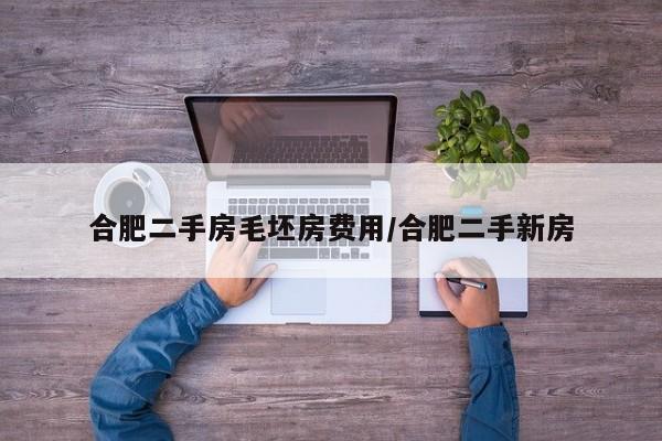 合肥二手房毛坯房费用/合肥二手新房