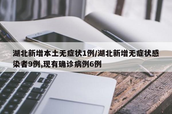 湖北新增本土无症状1例/湖北新增无症状感染者9例,现有确诊病例6例