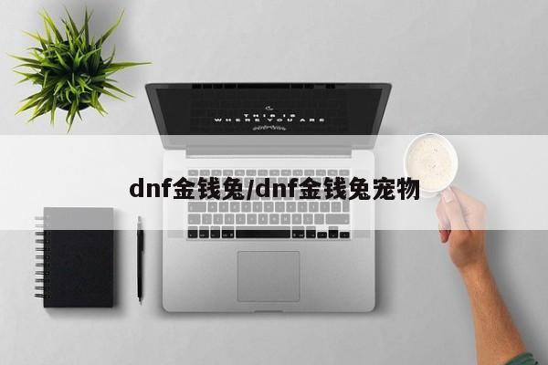 dnf金钱兔/dnf金钱兔宠物
