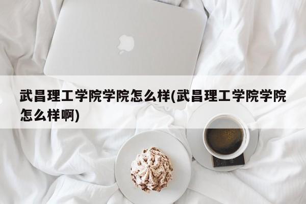 武昌理工学院学院怎么样(武昌理工学院学院怎么样啊)