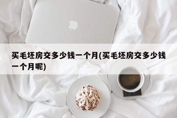 买毛坯房交多少钱一个月(买毛坯房交多少钱一个月呢)