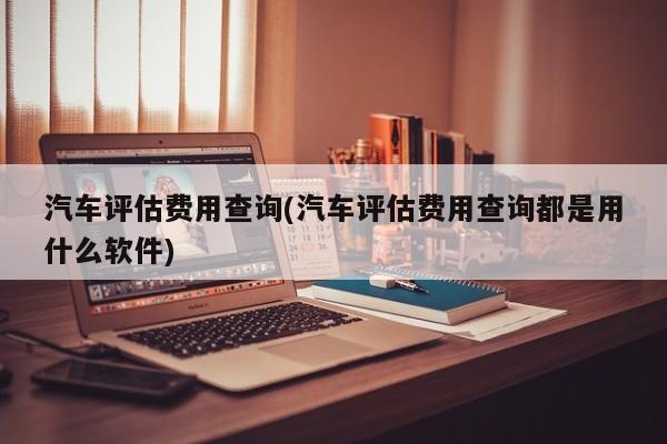 汽车评估费用查询(汽车评估费用查询都是用什么软件)