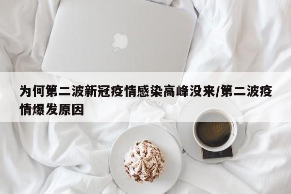 为何第二波新冠疫情感染高峰没来/第二波疫情爆发原因