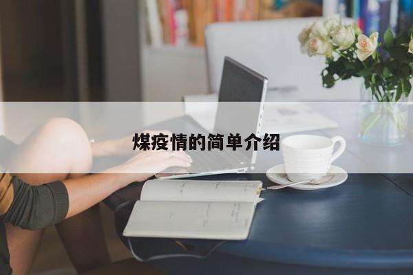 煤疫情的简单介绍