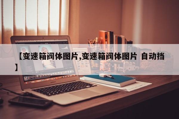 【变速箱阀体图片,变速箱阀体图片 自动挡】
