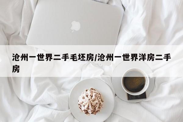 沧州一世界二手毛坯房/沧州一世界洋房二手房