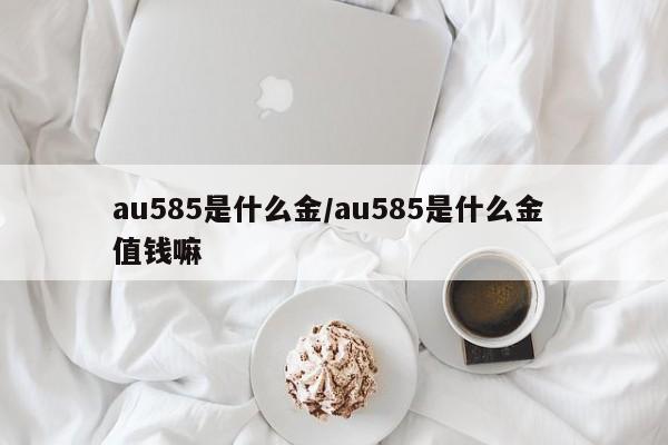 au585是什么金/au585是什么金 值钱嘛
