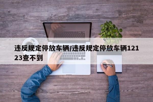 违反规定停放车辆/违反规定停放车辆12123查不到