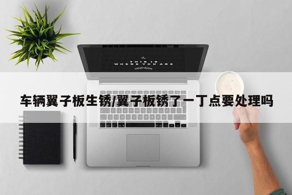 车辆翼子板生锈/翼子板锈了一丁点要处理吗