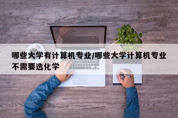 哪些大学有计算机专业/哪些大学计算机专业不需要选化学