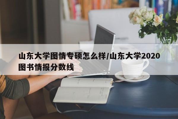 山东大学图情专硕怎么样/山东大学2020图书情报分数线