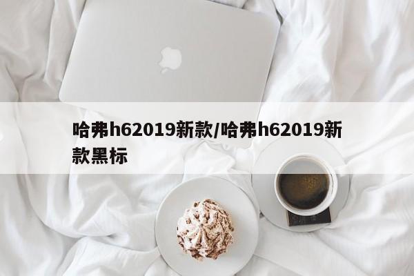 哈弗h62019新款/哈弗h62019新款黑标