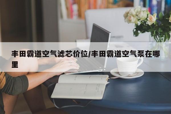 丰田霸道空气滤芯价位/丰田霸道空气泵在哪里