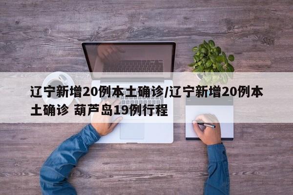 辽宁新增20例本土确诊/辽宁新增20例本土确诊 葫芦岛19例行程