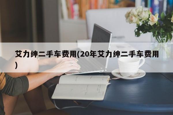 艾力绅二手车费用(20年艾力绅二手车费用)